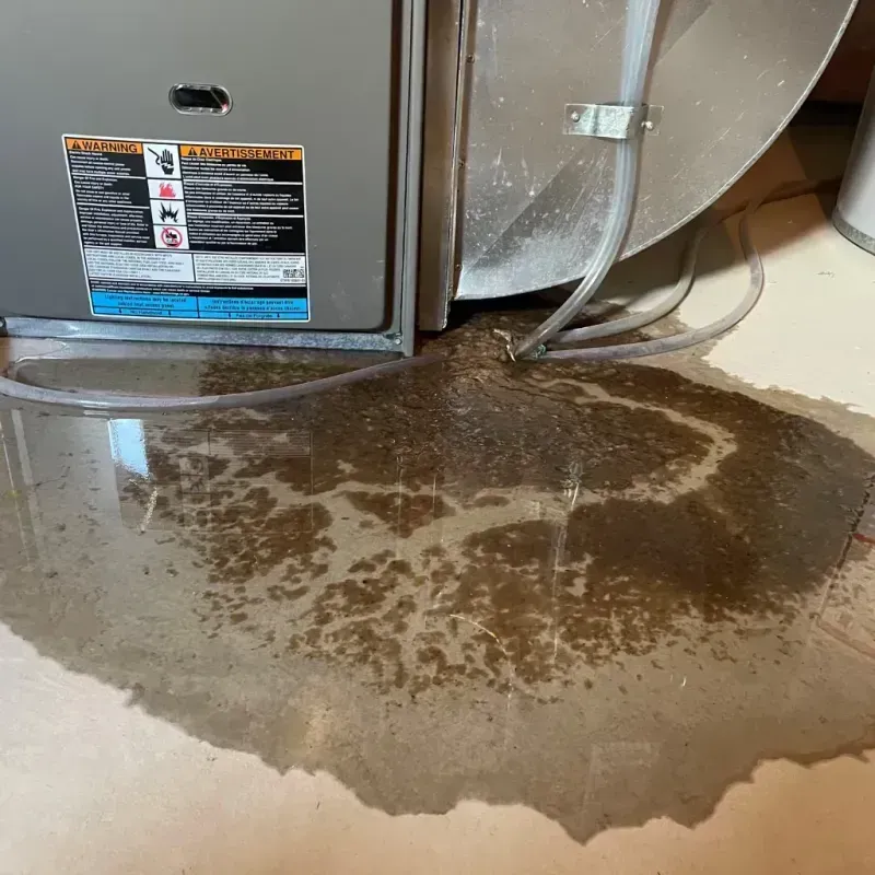 Appliance Leak Cleanup in Marshall, MN